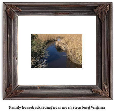 family horseback riding near me in Strasburg, Virginia